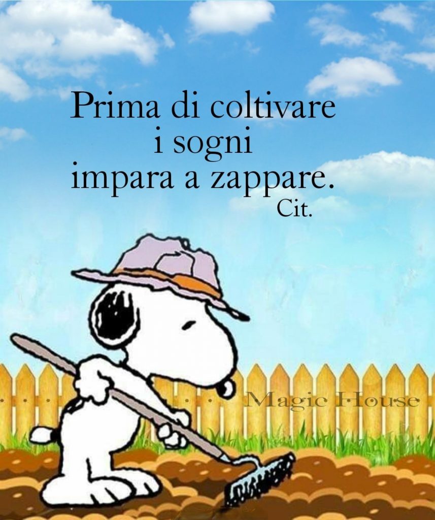 Prima di coltivare i sogni impara a zappare