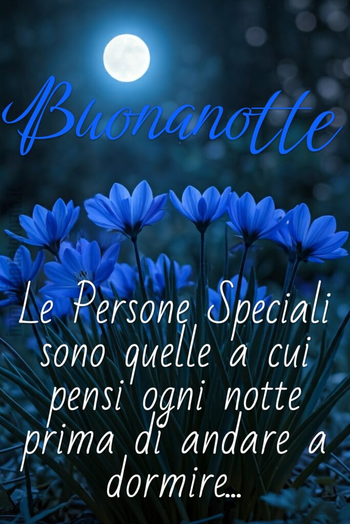 La buonanotte da mandare alle persone per noi speciali, con fiorellini blu e la Luna piena!