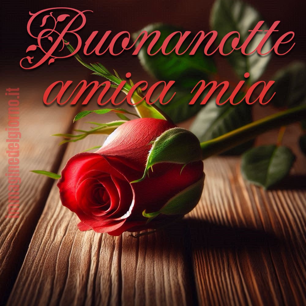 buonanotte amica mia immagini belle