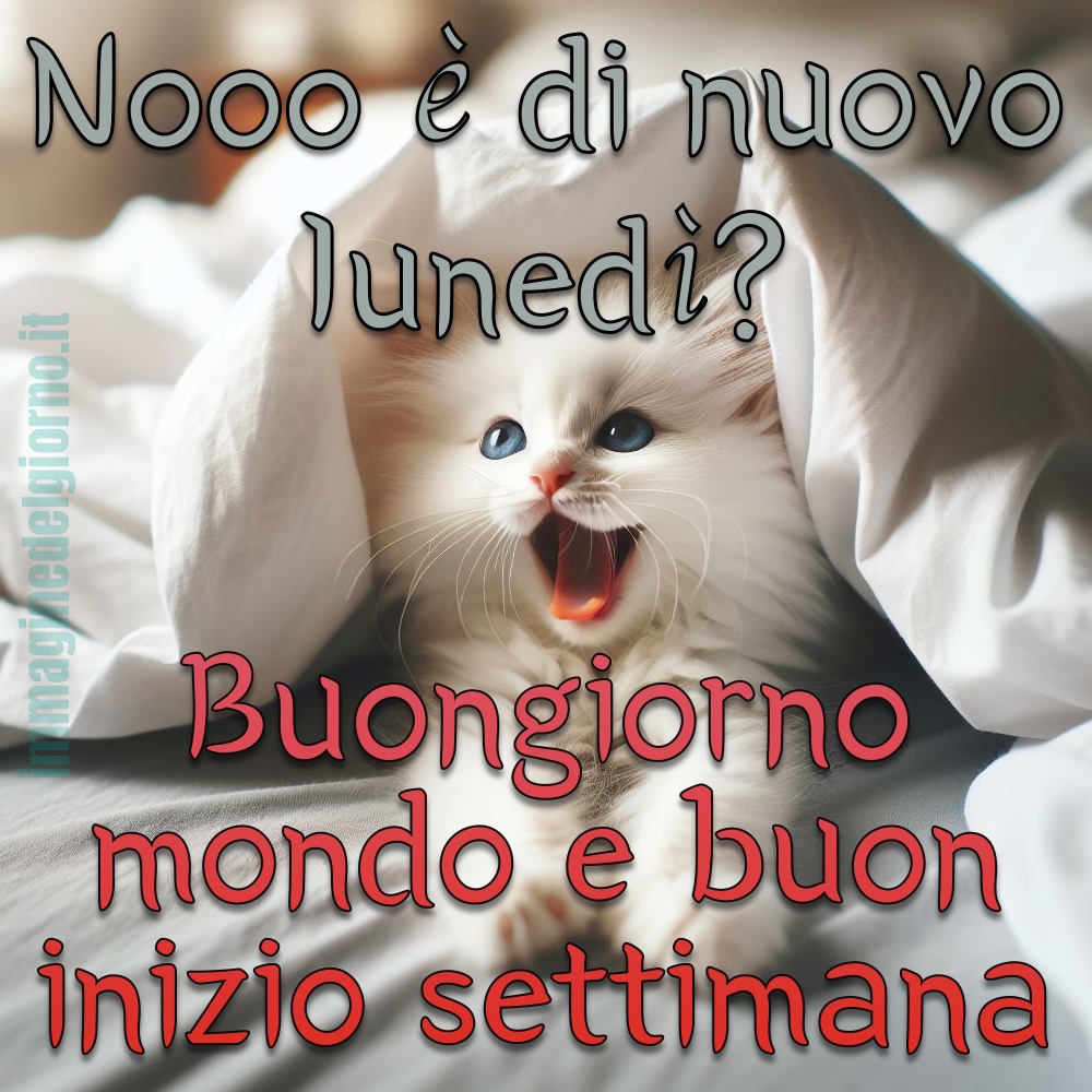 Nooo... è di nuovo Lunedì! Buongiorno mondo e buon inizio settimana!